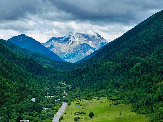 China vows to continue crackdown on hunting of protected birds